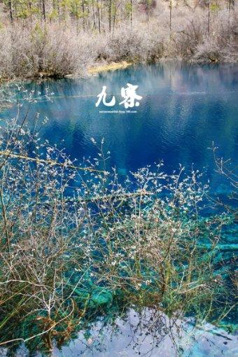 海带怎么样烧才好吃?-专业有问必答平台